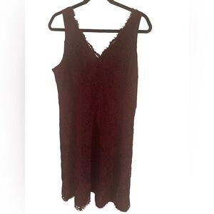LOFT Lace Dress sleeveless burgundy sz10